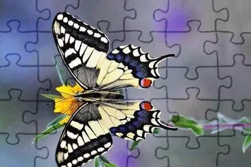 natural jigsaw puzzle
