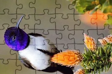 natural jigsaw puzzle