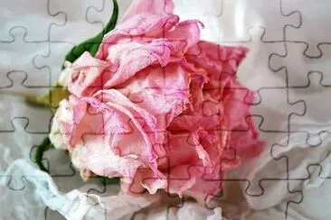 פאזל של flores