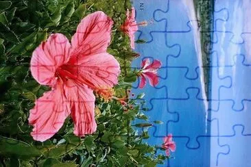 flores jigsaw puzzle