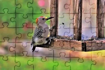 natural jigsaw puzzle
