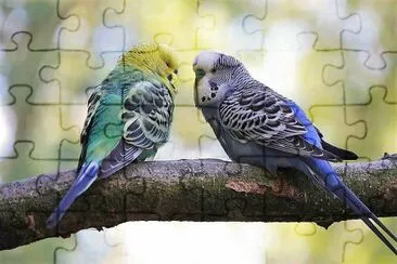 natural jigsaw puzzle
