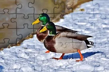 natural jigsaw puzzle