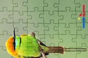 cores jigsaw puzzle