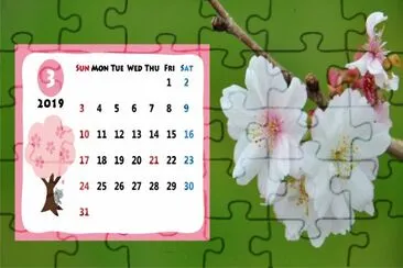2019.03 jigsaw puzzle