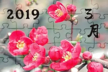 2019.03 jigsaw puzzle