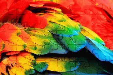 Cores