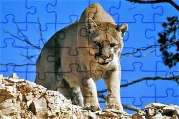 פאזל של natural