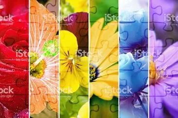 Cores jigsaw puzzle