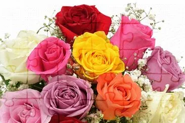 פאזל של Rosas