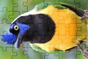 פאזל של natural