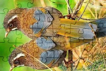 פאזל של natural