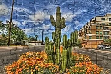 natural jigsaw puzzle