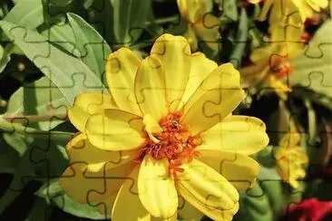flores jigsaw puzzle