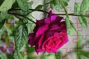 flores jigsaw puzzle