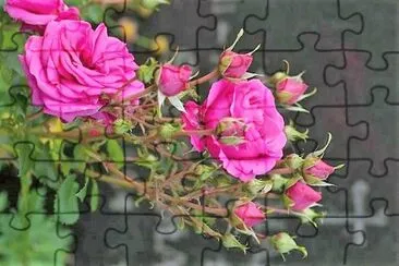 flores jigsaw puzzle