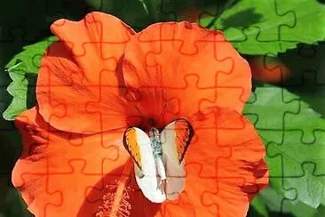 flores jigsaw puzzle