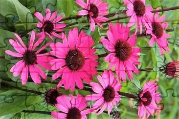 flores jigsaw puzzle