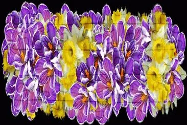 flores jigsaw puzzle