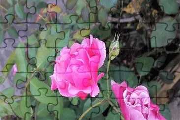 flores jigsaw puzzle