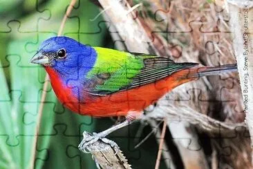 natural jigsaw puzzle