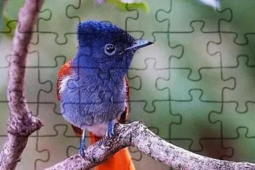 natural jigsaw puzzle