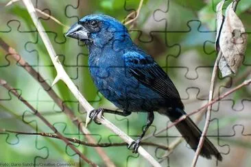 natural jigsaw puzzle