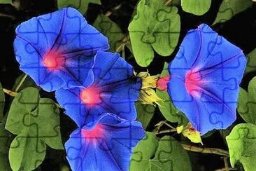 flores jigsaw puzzle