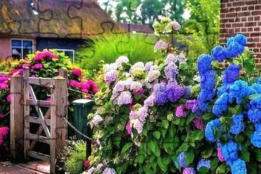flores