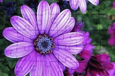 flores jigsaw puzzle