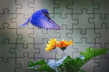 פאזל של natural