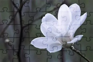 flores jigsaw puzzle