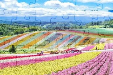 flores