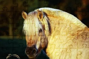 tveiti jigsaw puzzle