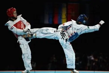 TAEKWANDO jigsaw puzzle