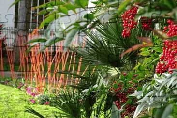 perles rouges