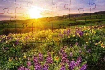 29 jigsaw puzzle