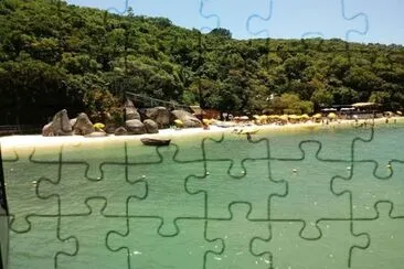 30 jigsaw puzzle