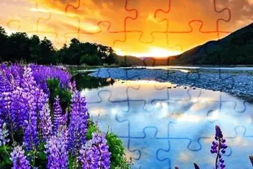 1 jigsaw puzzle