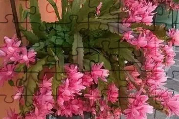 16 jigsaw puzzle