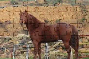 Nooitgedacht jigsaw puzzle