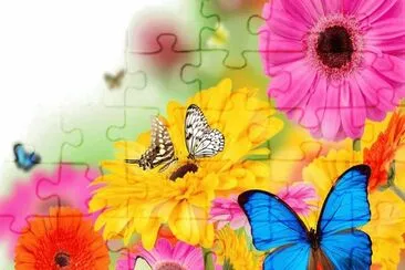 Cores jigsaw puzzle