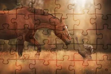 cavalo jigsaw puzzle
