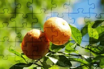 Frutas jigsaw puzzle