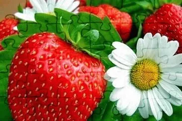 Frutas