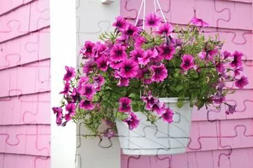flores jigsaw puzzle