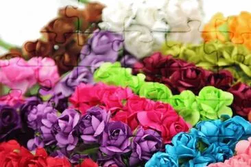 Cores jigsaw puzzle