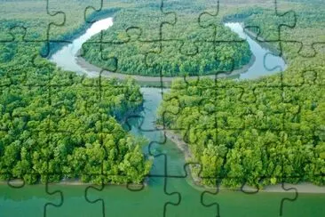 Imagem jigsaw puzzle
