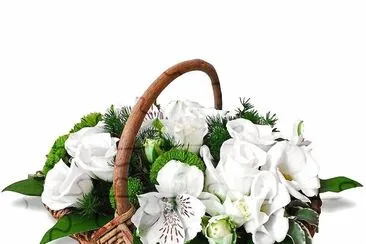 פאזל של flores
