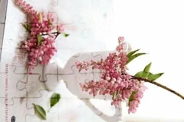 פאזל של flores